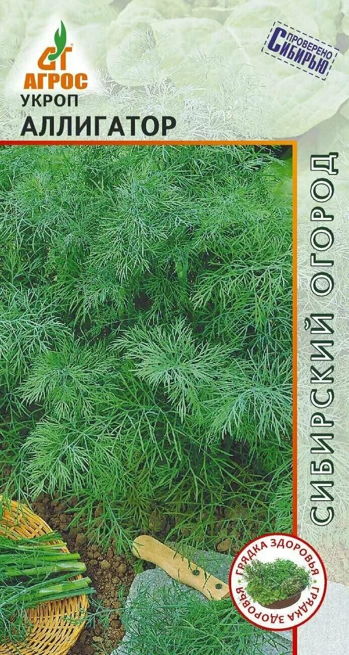 Укроп аллигатор характеристика и описание сорта фото. Укроп аллигатор аэлита. Укроп сорт аллигатор. Семена укроп аллигатор 2г. Укроп аллигатор 2 гр.