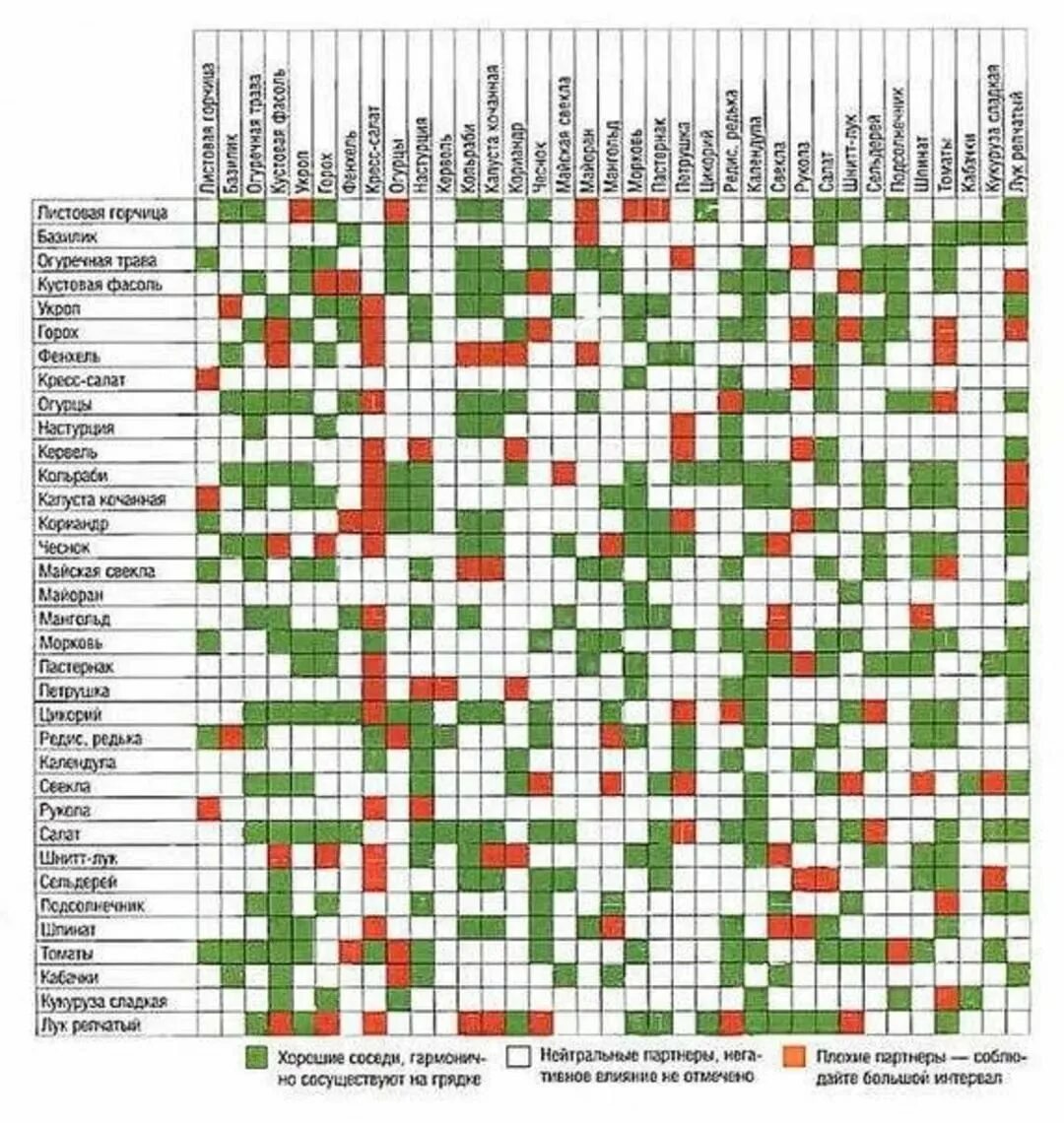 Овощи в огороде список. Таблица совместимости посадки овощей на огороде. Совместные посадки овощей таблица совместимости. Совместимость овощей на огороде при посадке таблица. Аллелопатия растений таблица.