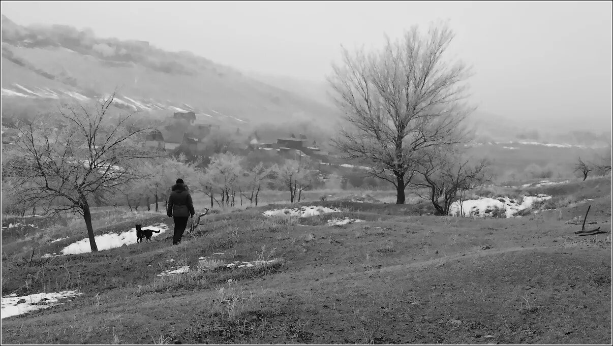 Сонная лощина лес. Гессенский кавалерист сонная лощина. Майкал гэмбоен сонная лощин а. Кристофер ли сонная лощина. Лощина в горах.