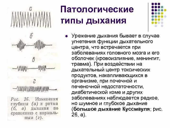 Патологические типы дыхания таблица 1 типы дыхания