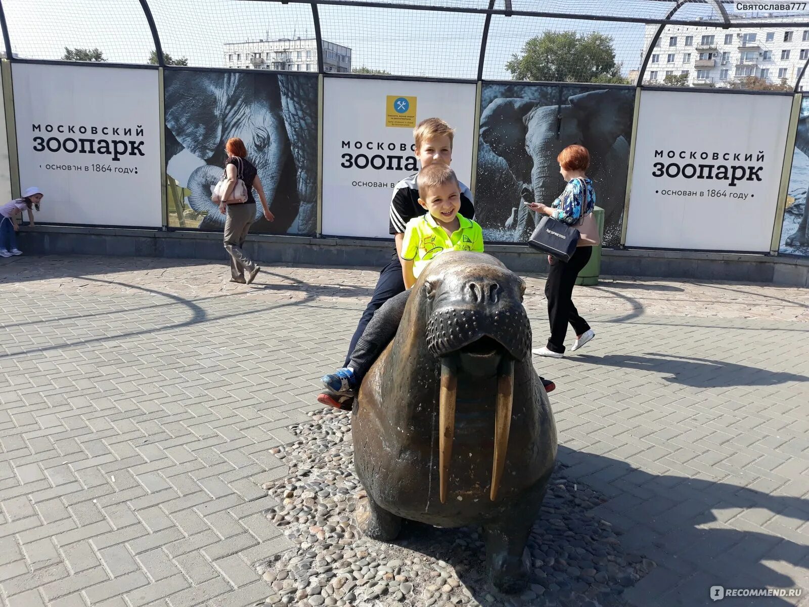 В московский зоопарк можно купить билеты. Зоопарк Москва. Зоопарк Москва 2021. Развлечения в Московском зоопарке. Московский зоопарк Графика.