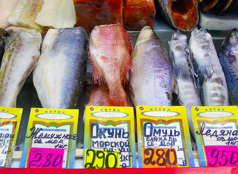 Какую рыбу продавать в магазине. Рыба продается на рынке. рыба на рынке названия. морская рыба которая продается в магазине. рыбы которые продаются в магазинах.