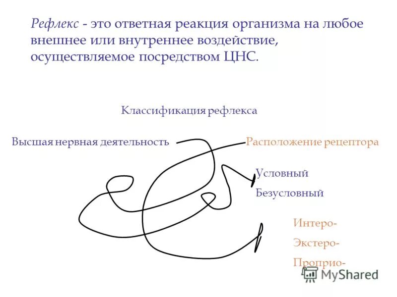 Ответная реакция организма на внешнее воздействие