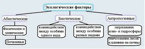 Биологические экологические факторы примеры