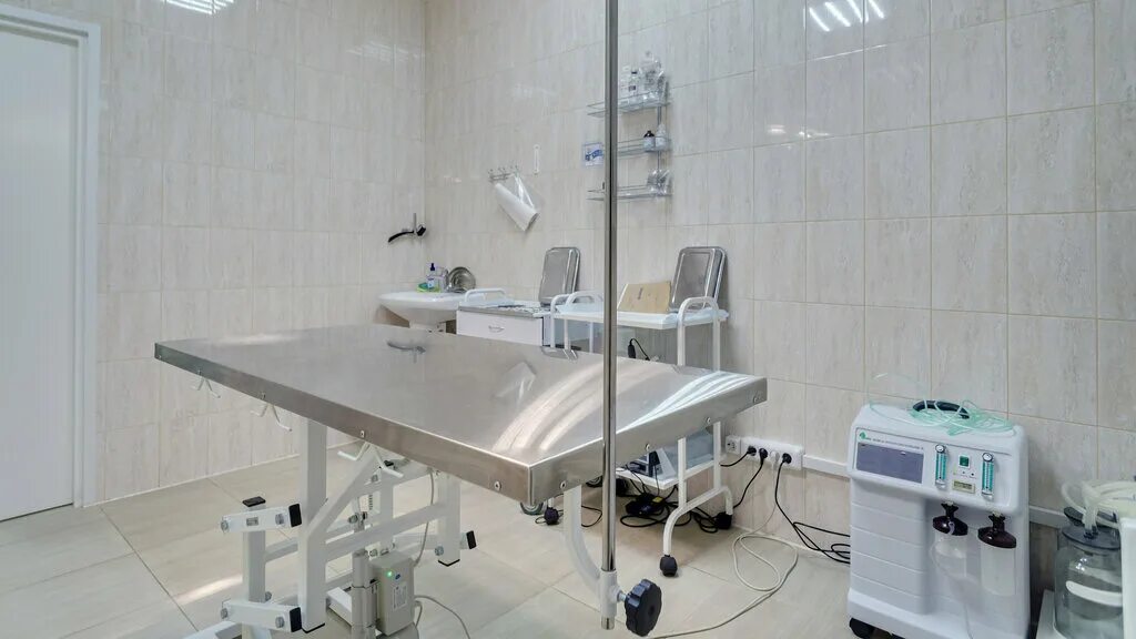 эскулап ветклиника бабушкинская. ветклиника горки 10. ветеринарная клиника на улице анджиевского 122. ветклиника горки 10. ветклиника горки 10.