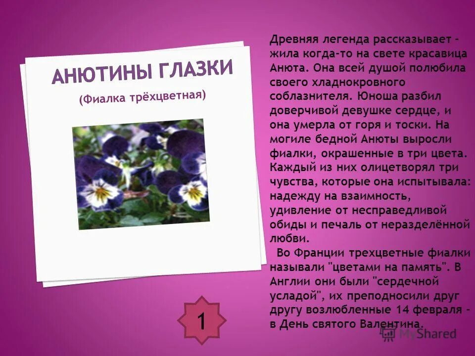 Анютины глазки легенда. Легенда о растении или животном. Мифы и легенды о животных и растениях. Легенды о растениях и животных. Легенды и мифы о растениях.