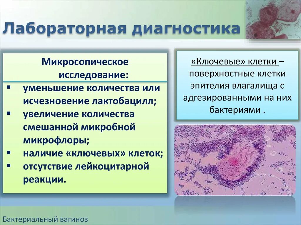 Бактериальный вагиноз лабораторная диагностика. Диагноз бактериальный вагиноз. Бактериальные заболевания к гинекологии.