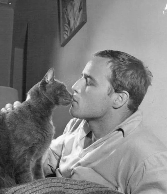 Мужчина любящие кошек. Марлон Брандо. Марлон Брандо крестный отец. Marlon Brando James Dean. Марлон Брандо с котом.