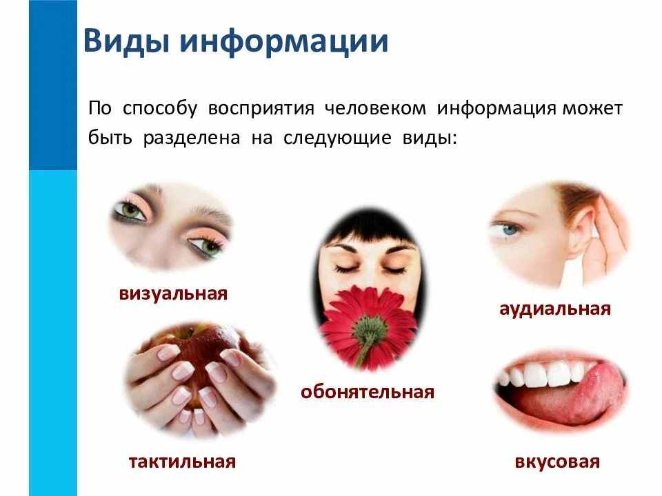 Способы восприятия информации примеры. Способы восприятия информации. информация по способу восприятия. по способу восприятия информация может быть. виды информации.
