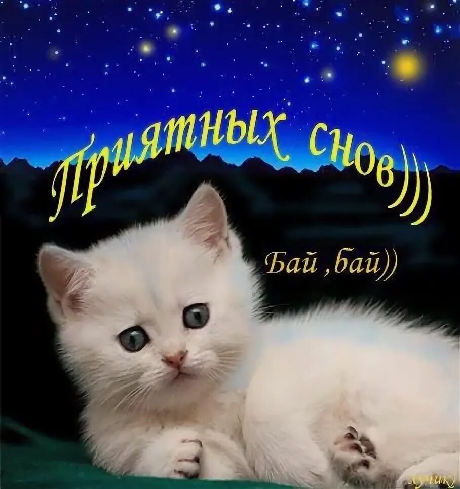 Стикеры спокойной ночи прикольные. Баю баю. Открытка баю бай. Открытки баю бай. Книги для детей баюшки баю.