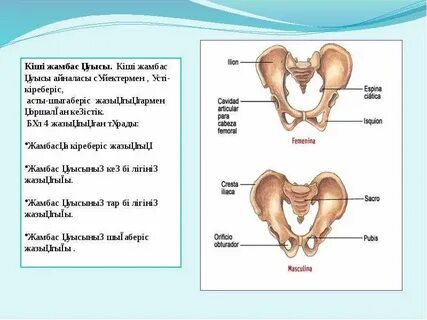 Дана Борисованың эротикалық суреттері