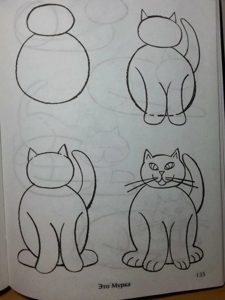 Рисуем кота с детьми. Поэтапное рисование кошки. Поэтапное рисование кошки для дошкольников. Простые поэтапные рисунки для детей. Схема рисования кошки.