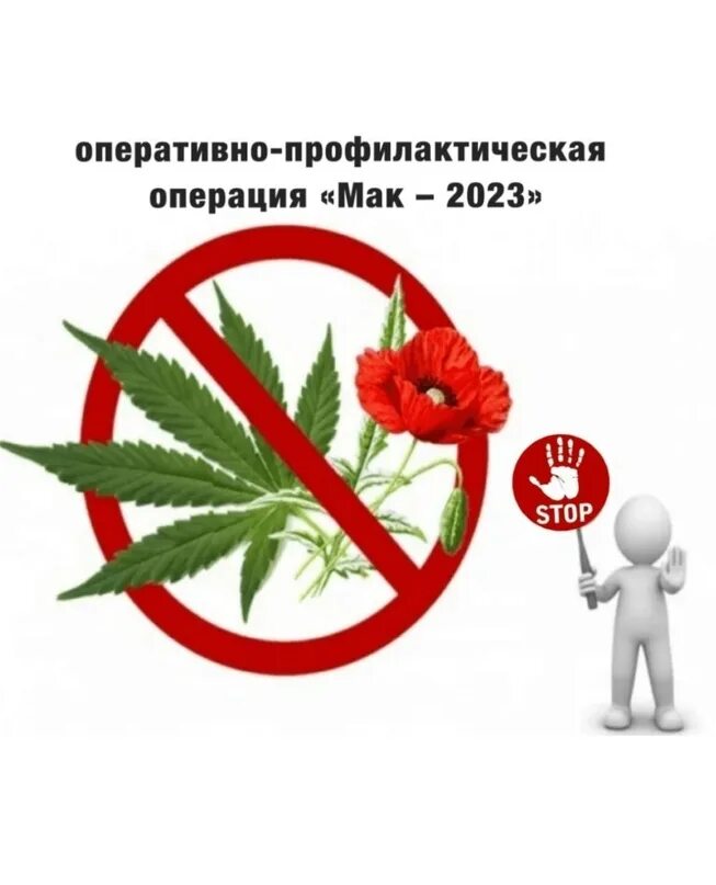 Оперативно профилактической операции мак. Операция мак. операция мак 2025. операция мак картинки. мак 2025.