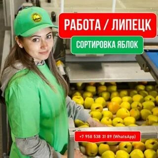 Яблоко работа екатеринбург