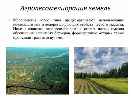 Мелиорация ландшафтов