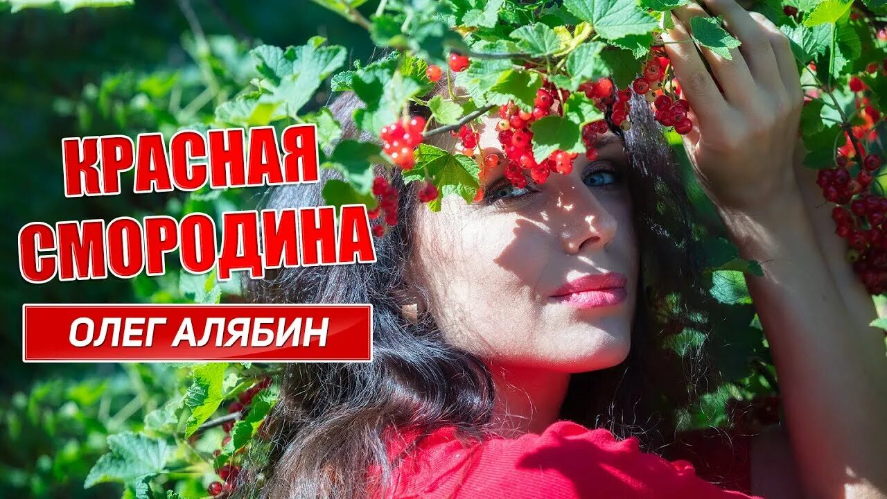 Черная смородина песня пусть распускаются. Красная смородина песня. Красная смородина на губах твоих. Смородина краснаяпесня красная песня.