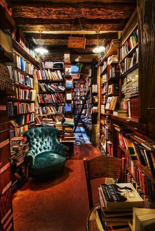 Книжный магазин Shakespeare and Company в Париже. Шекспир и компания книжный магазин Париж внутри. Домашняя библиотека. Красивый книжный магазин. Красивый книжный в москве