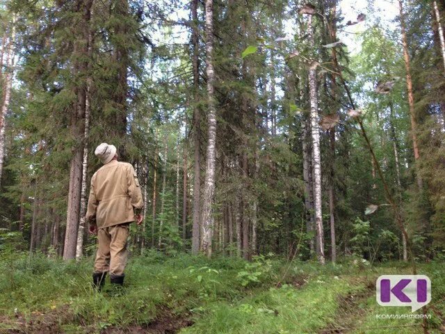 Заблудился в тайге. Охотник заблудился в тайге. Затерявшиеся в тайге. Заблудившиеся в лесу комикс 3 часть