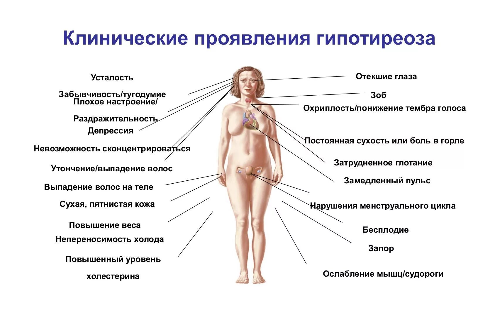 Можно ли при заболевании щитовидной железы. Клинические проявления гипотиреоза. основные клинические проявления гипофункции щитовидной железы. гипотиреоз щитовидной железы симптомы. тиреотоксикоз и гипотиреоз.