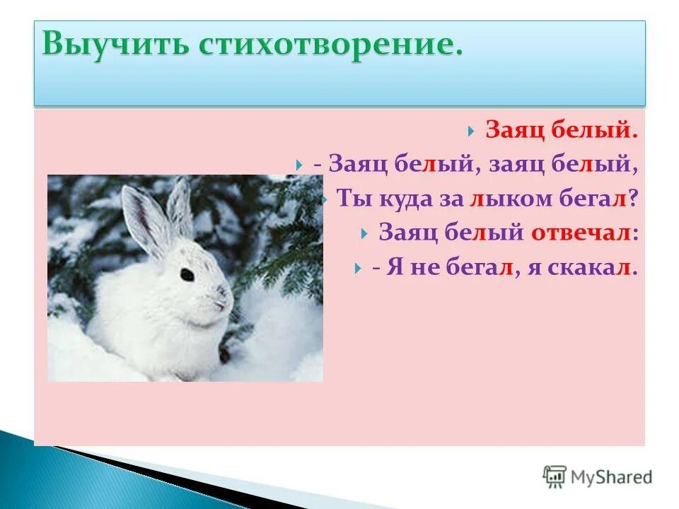 сообщение о белом зайце. стишок про зайку для малышей. стих белый заяц. стишок про зайку для детей. заяц скачет по сугробам.