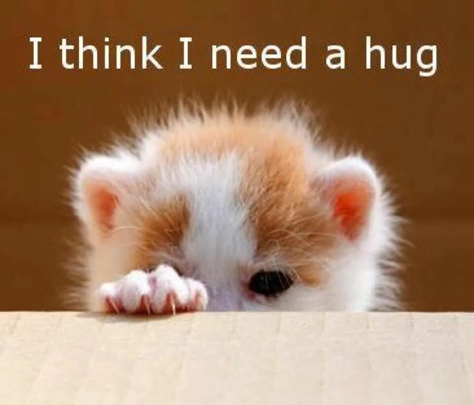 Need a hug. Need hugs картинки. You need a hug. I need hugs котик. You think that i need you