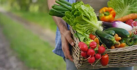 Farmer vegetables