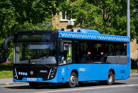 Автобус 291 до больницы 67