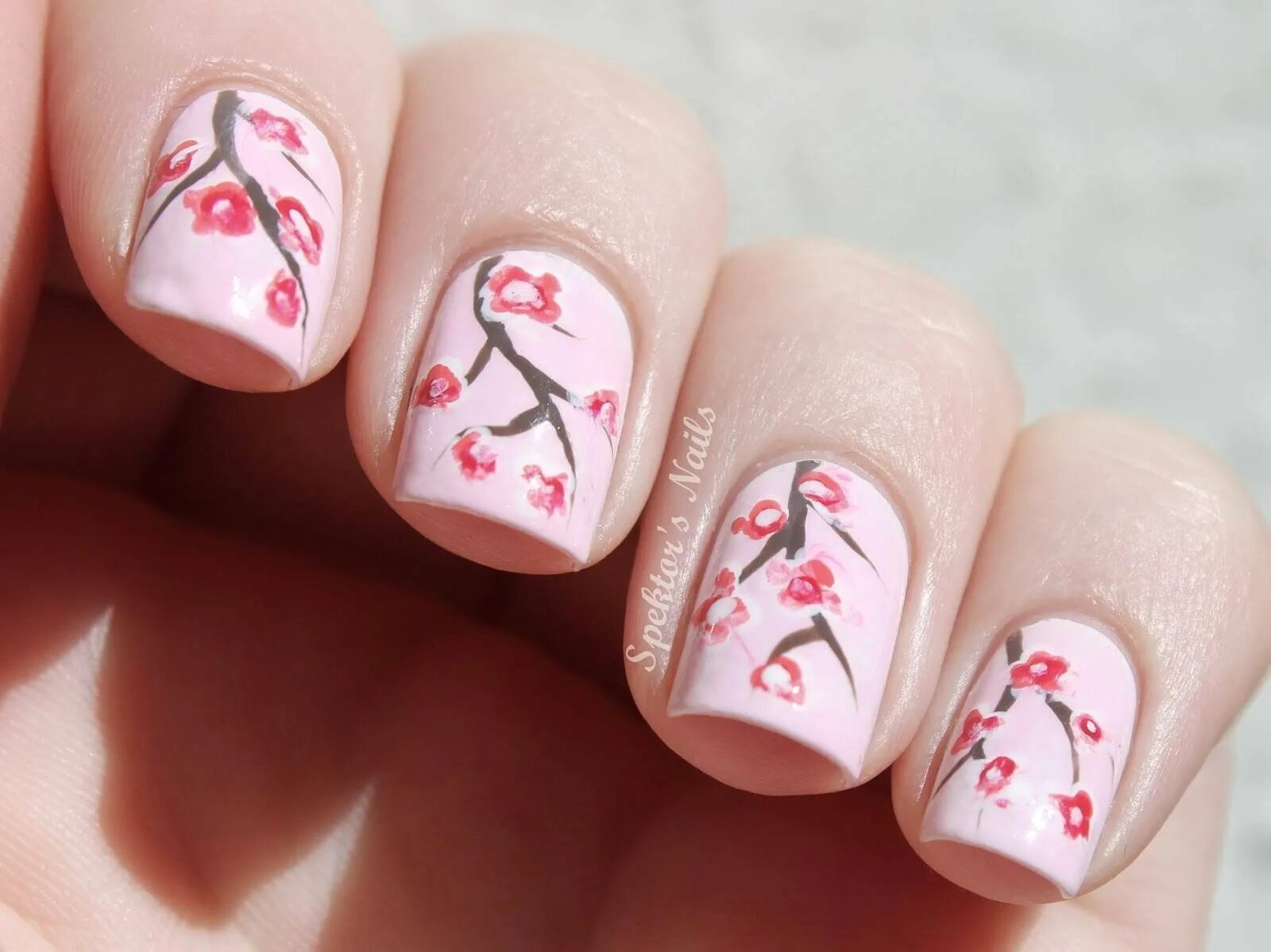 Сакура на ногтях. Ногти в японском стиле. Ветка Сакуры на ногтях.