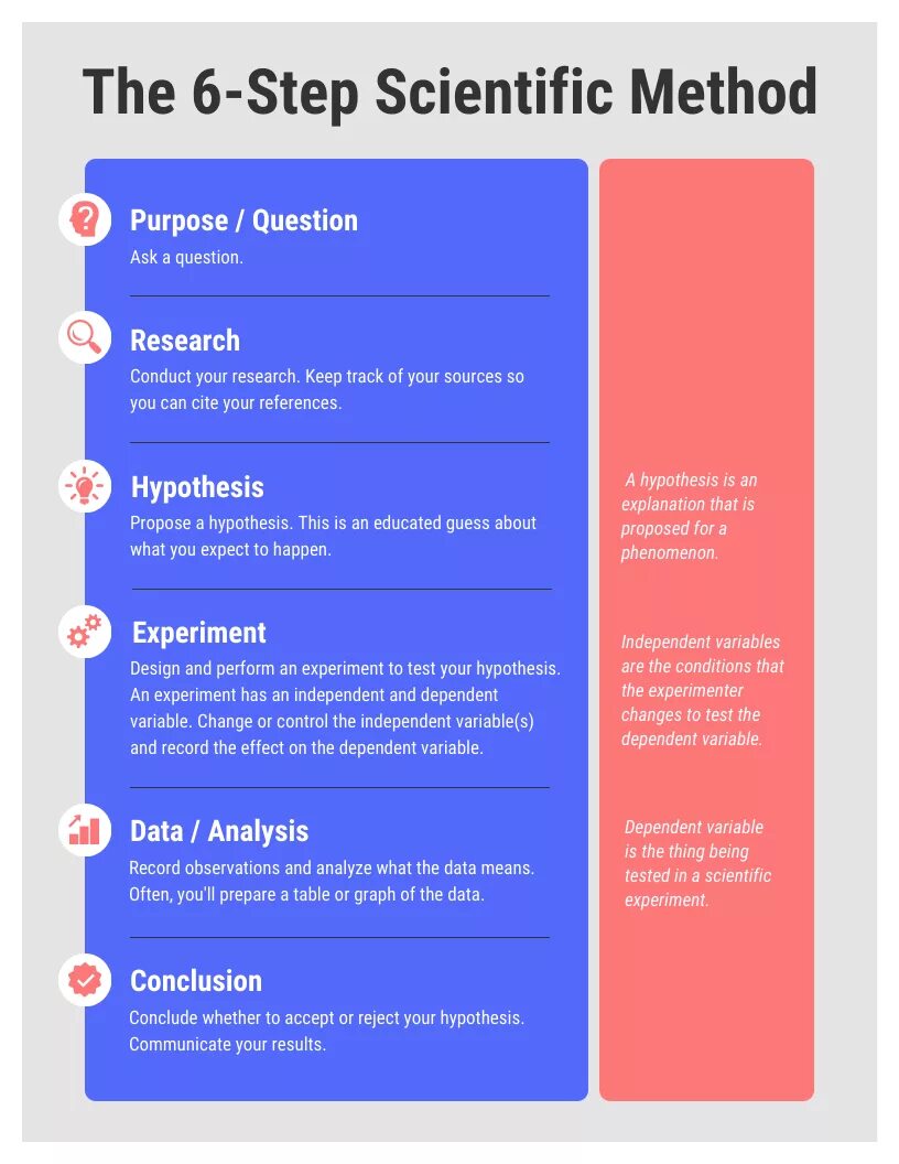 Научный метод 6. Scientific method. научный метод инфографика. method infographics. scientific method display wall.