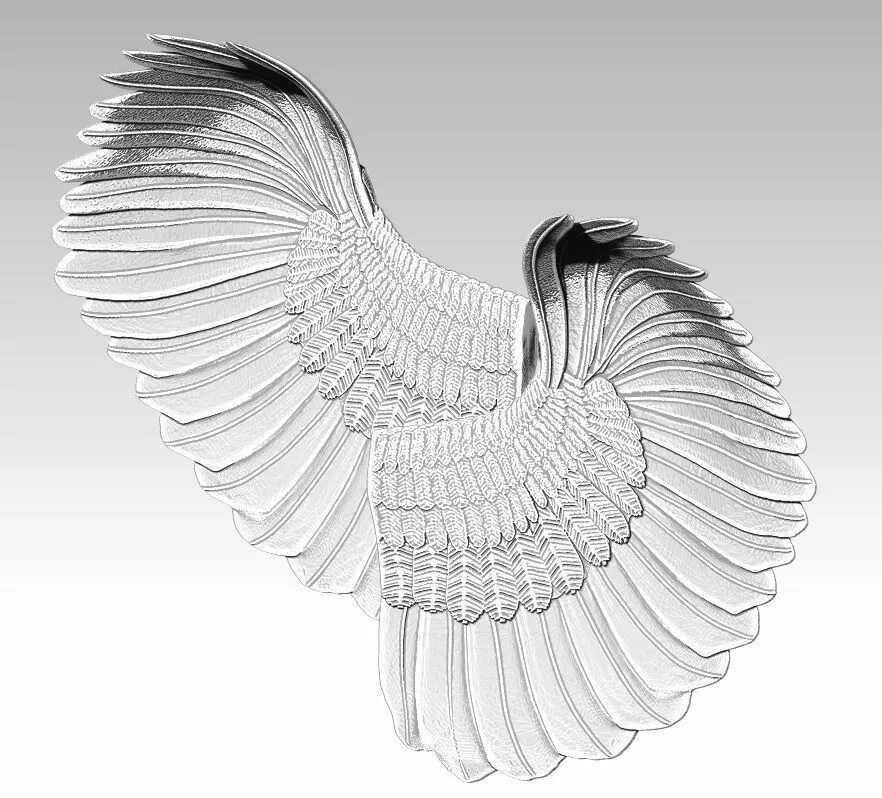 Wing model