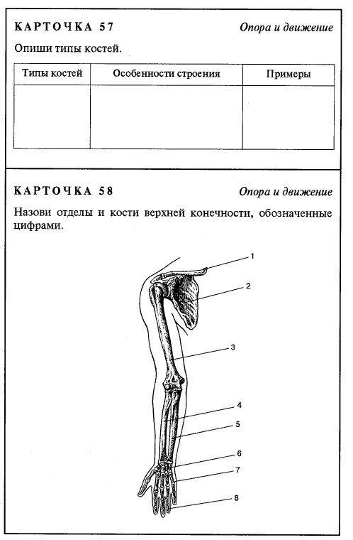 Карточки задания по учебнику биологии 8 класс Сонин. Дидактические карточки по биологии 8 класс. Карточки по биологии 8 класс скелет человека. Дидактическая карточка по биологии 8 класс ответы.