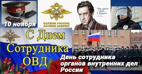 День внутренних органов