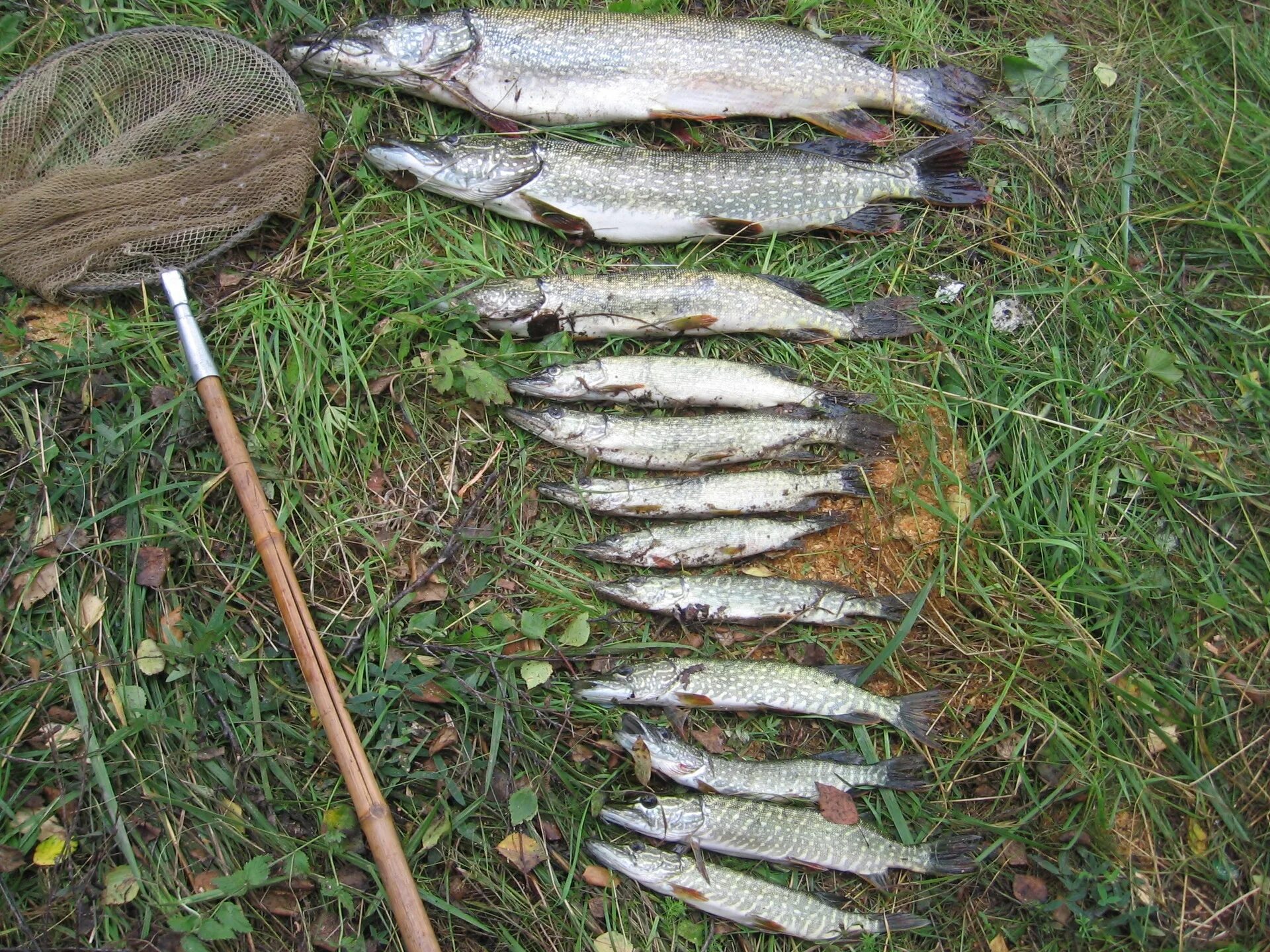 Рыбалка в курганской области