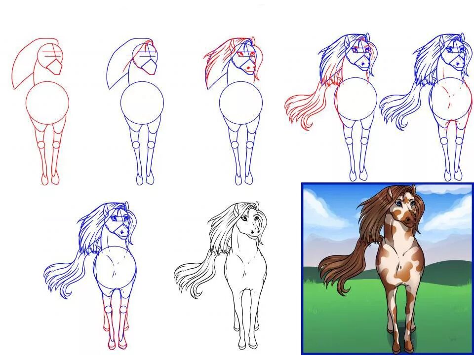 Как рисовать лошадь поэтапно. Пошаговые рисунки. Как быстро нарисовать лошадь. Как быстро нарисовать лошадь. Лошадка рисование для детей.