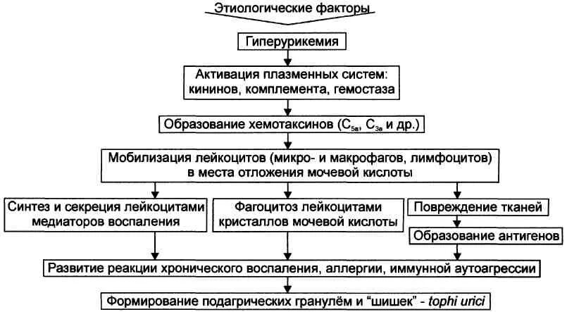 Подагра схема. Подагра этиология патогенез. патогенез острого подагрического артрита. механизм развития подагры патофизиология. патогенез подагры схема.