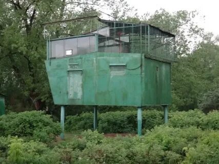 Какую голубятни