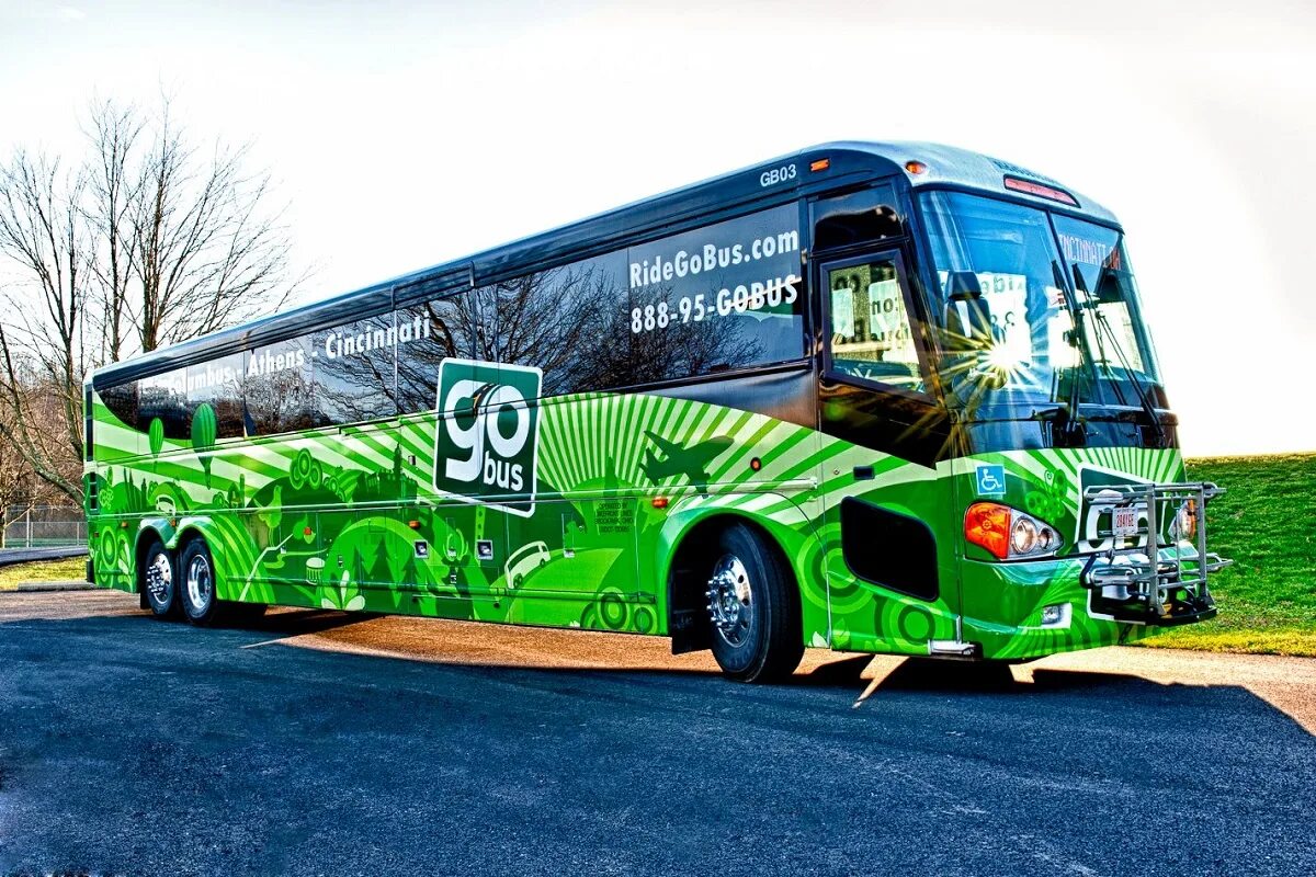 Go by bus. Coach автобус. crocodile coach автобус. coach vs bus.