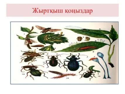 DIY жыныстық жиһаз