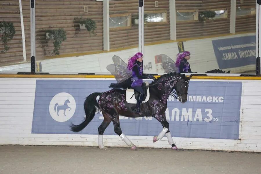 Русский алмаз конный клуб. Русский алмаз конный клуб. Конный лагерь русский алмаз. Русский алмаз конный клуб. Конный лагерь русский алмаз.