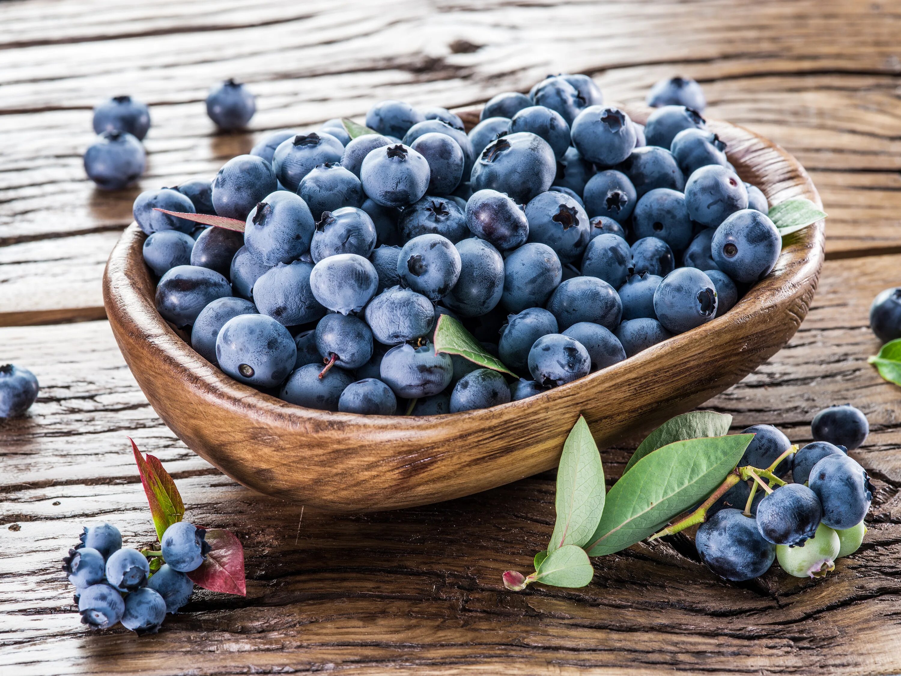 Черника и голубика. Черника блуберри. Blueberry berry. Blueberry berry. Голубика 1 ягода.