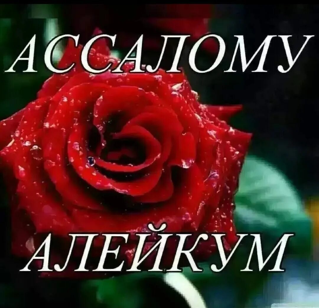 Саля малейкум. Ассалам алейкум. Ваалейкум Ассалам открытки. Картинки Ассалому Алек. Открытки Салам алейкум.