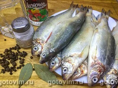 Как посолить рыбу пелядь