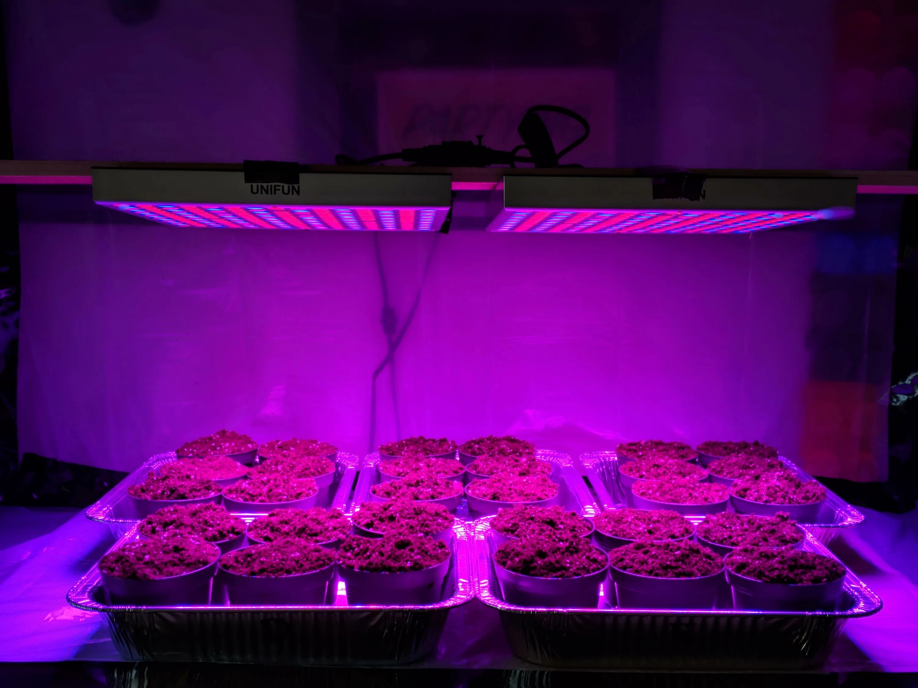 Led grow plant. 1000w led grow week. Фито-светильник led grow14w (квадрат). Упаковка led grow Light. Lucius led grow.