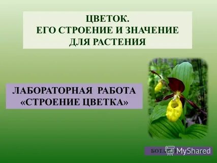 Работа ботаника