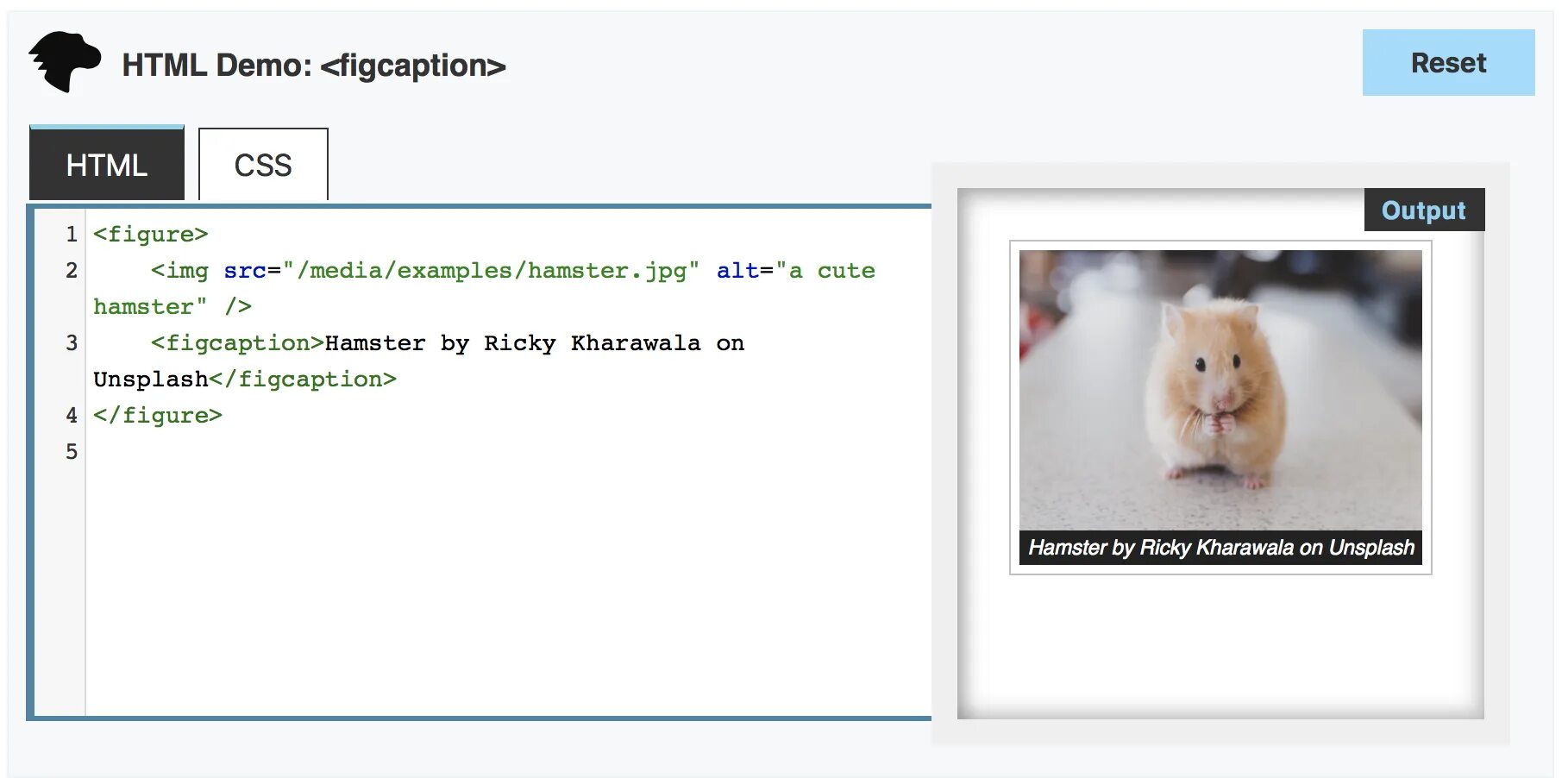 Figure html
