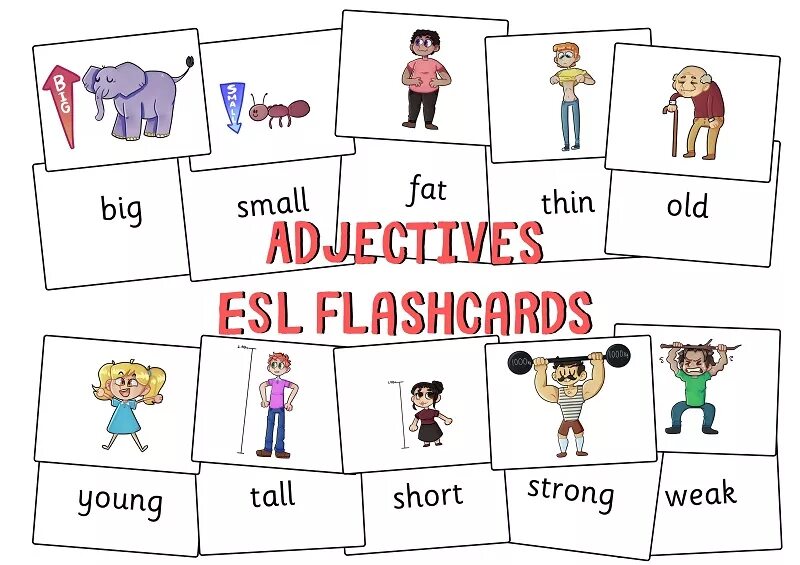 Adjectives ESL. Adjectives Flashcards for Kids. ESL strong adjectives. Flashcard ESL. Thin adjective