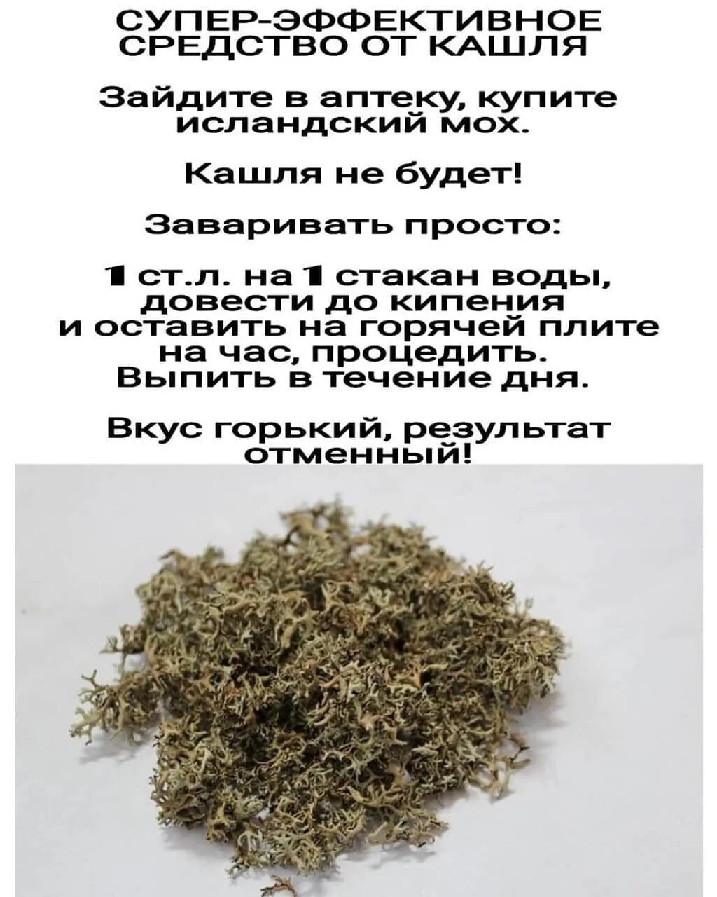Какой мох пьют. Мох от кашля. исландский мох от кашля. как заваривать исландский мох. средство от кашля с исландским мхом название.