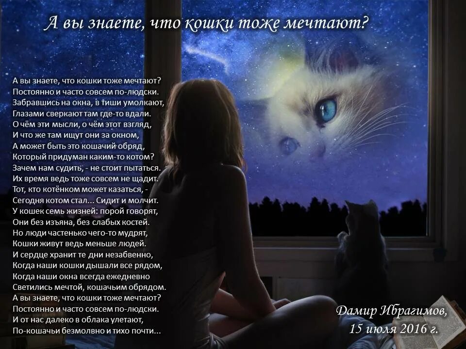 Приколы про спину. Готовь киску. Кот шантажист. Стих про кошку. Кошка тоже друг человека.