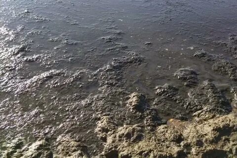 Море темнело огэ