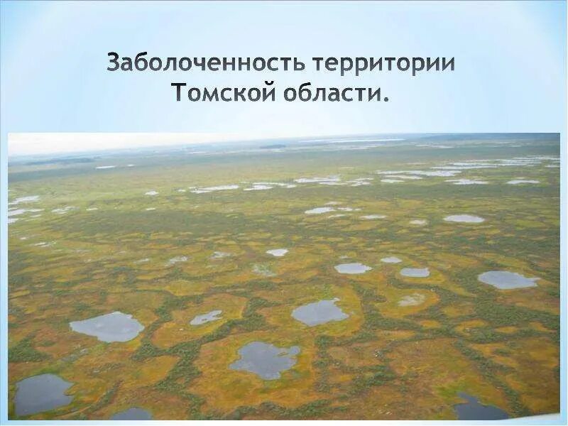 Болота западно сибирской равнины. Образование болот в западной сибири. Территория для которой характерна наибольшая заболоченность. Олиготрофное болото. Территория для которой характерна наибольшая заболоченность.